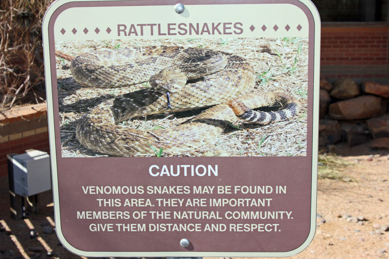 Bild 18 Pause am ersten großen Info Zentrum in Texas 