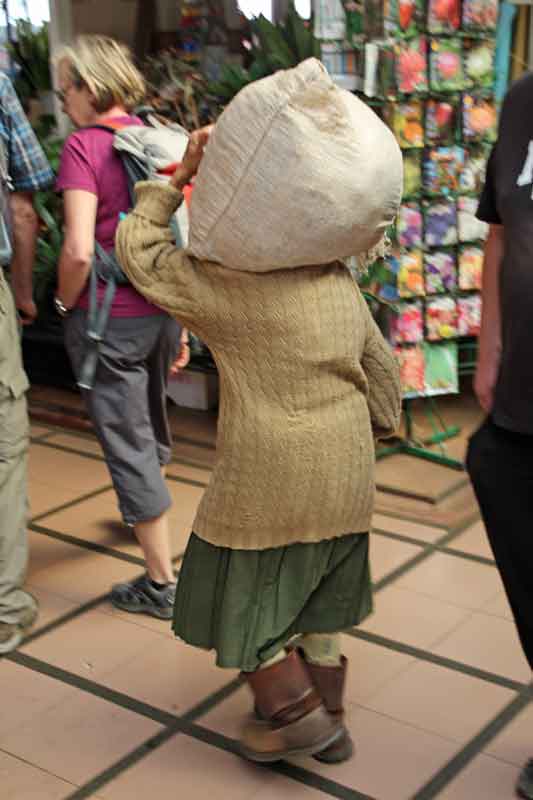 Bild 22 Ein alte Frau schleppt ihre Waren in den Markt