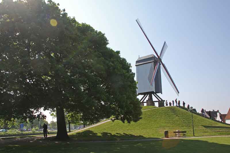 Bild 17 Windmühle in Brügge