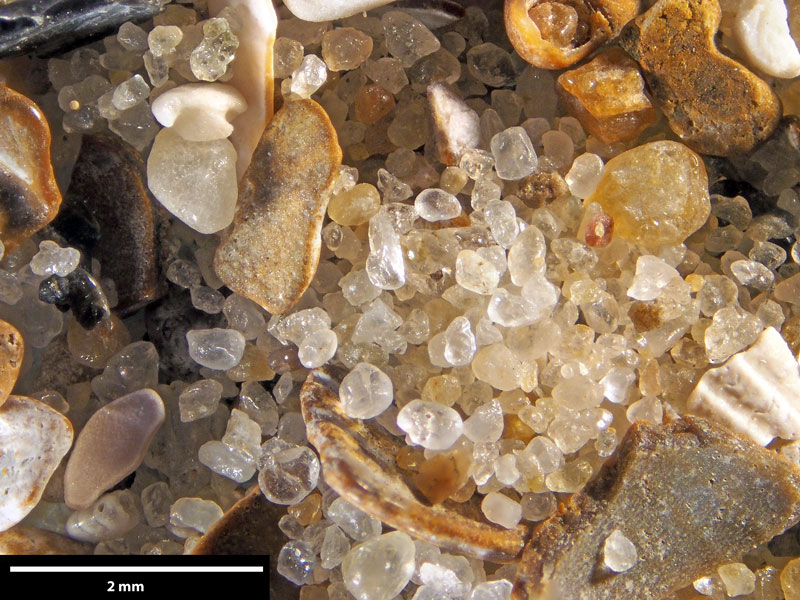 Sand aus Renesse, Niederlande, vom Nordseestrand