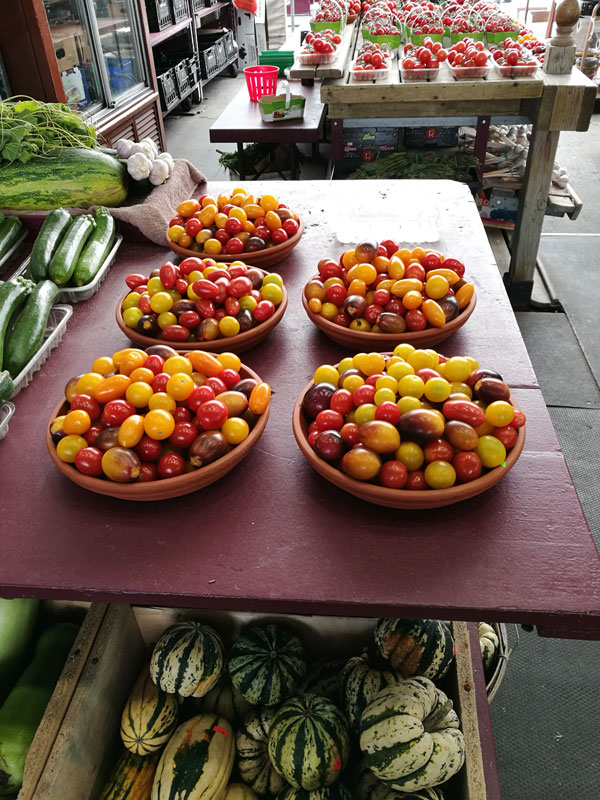 Bild 12 Bummel durch den Marche Jean-Talon