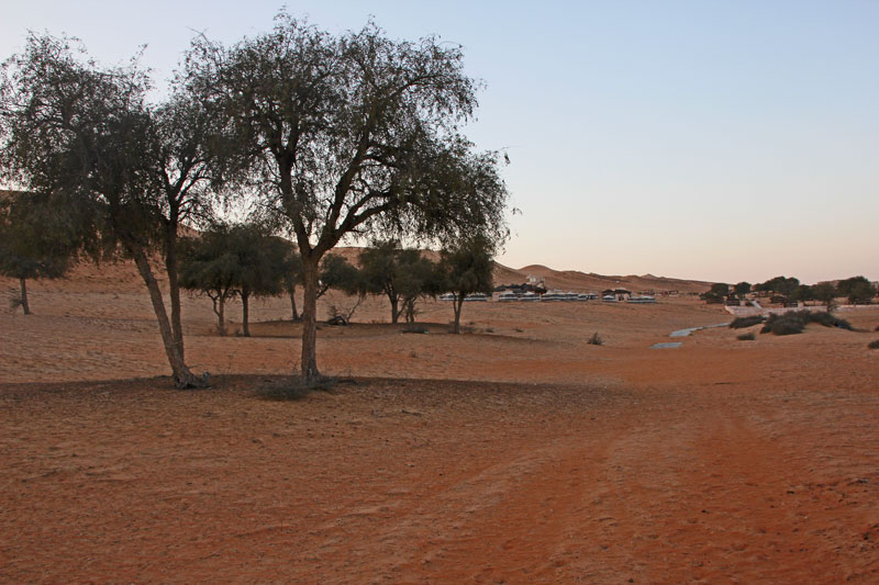 Bild 14 Blick auf die Anlage 1000 nights camp