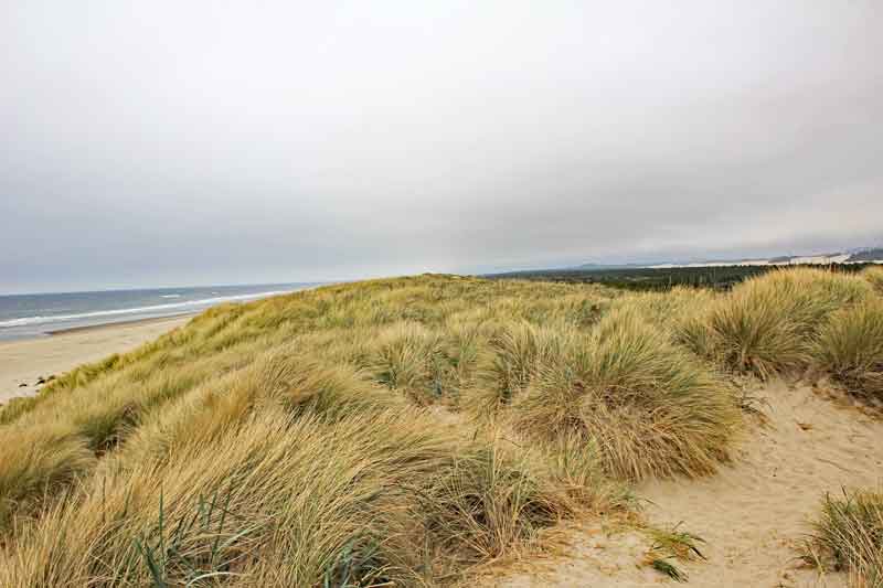 Bild 13 Blick auf Dünen und Pacific