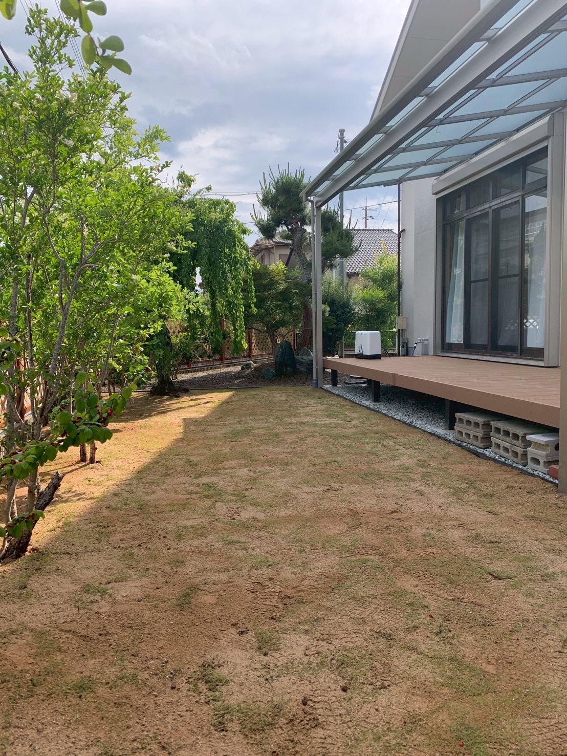 三田市F様邸 芝張り中