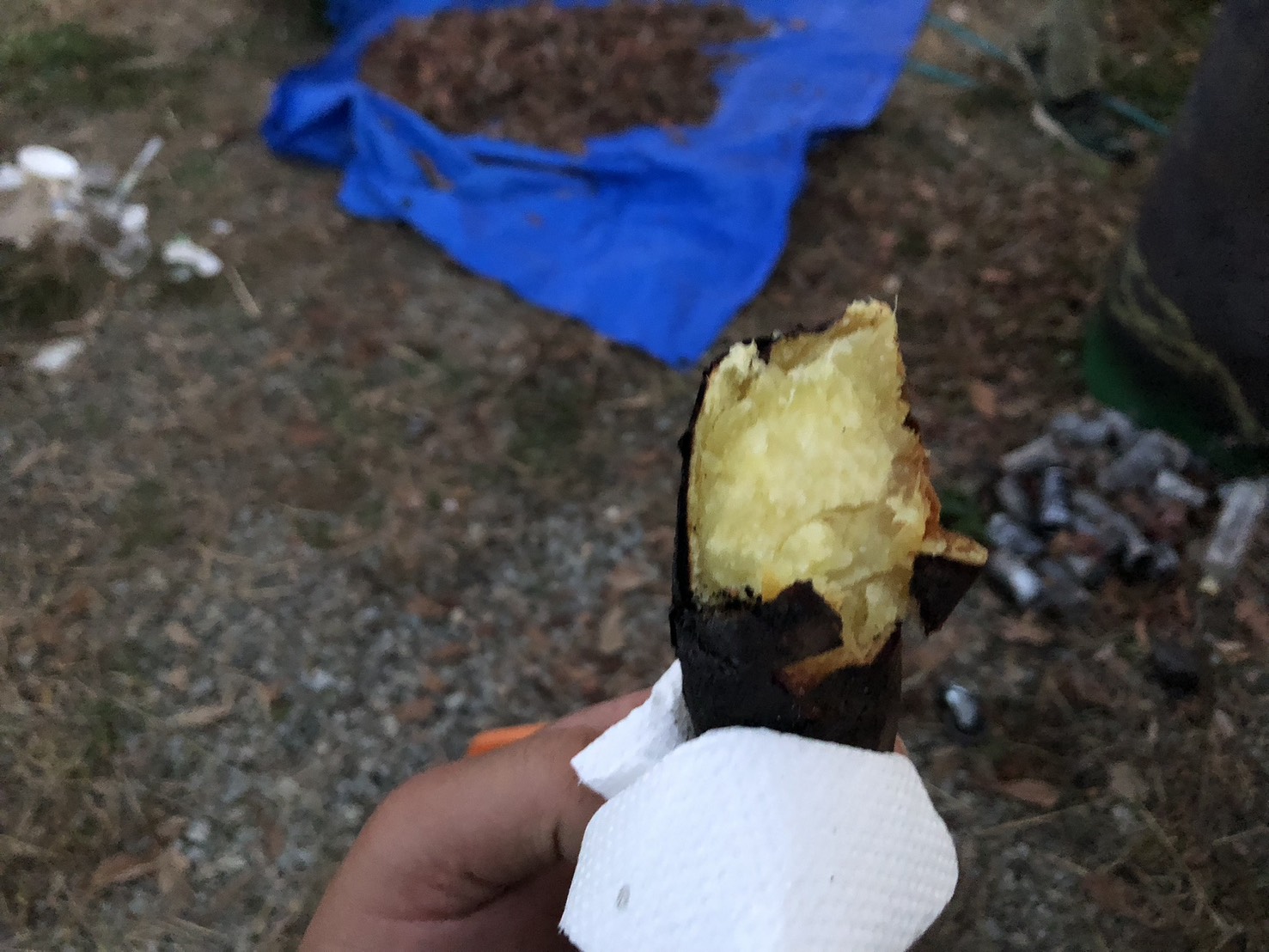 施主様から頂いたお芋で焼き芋