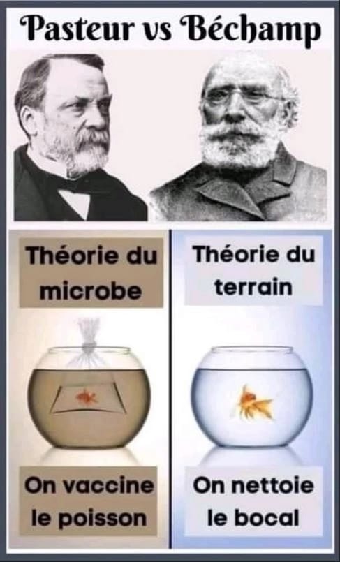 La Vérité Sur Pasteur Et Ses Recherches