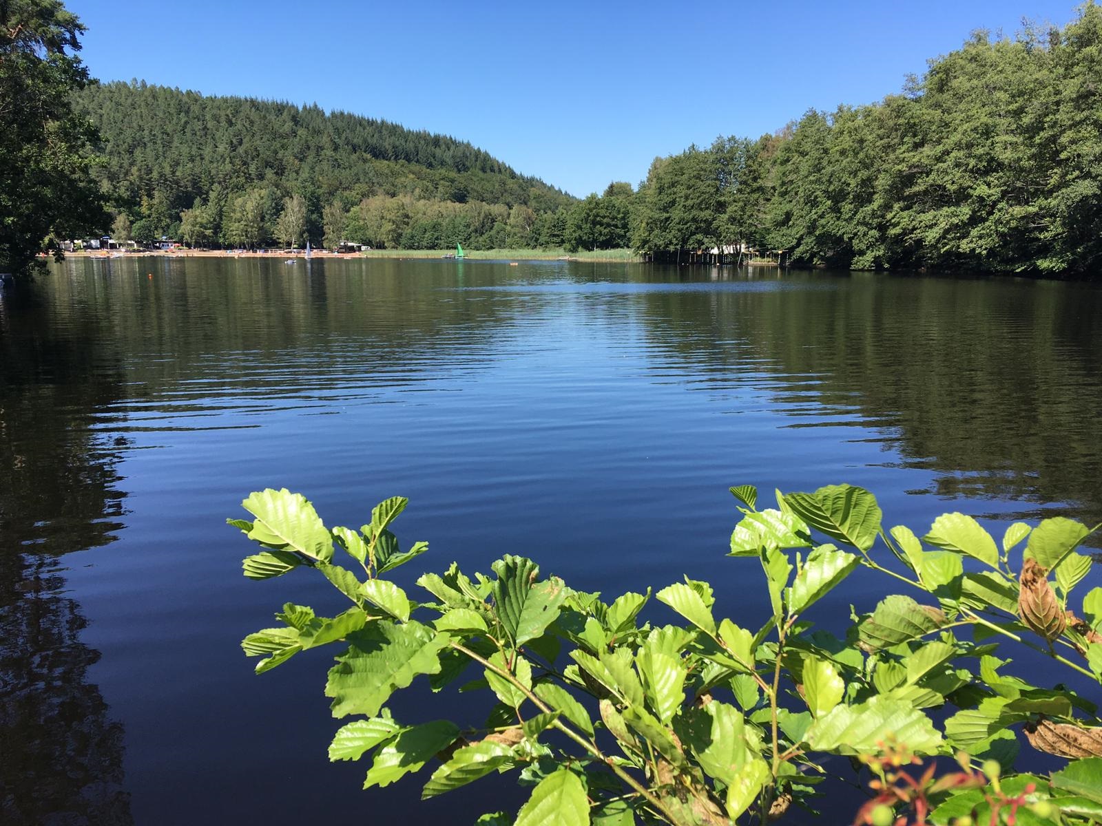 Naturschutzgebiet Gelterswoog Radwege im pfälzerwald