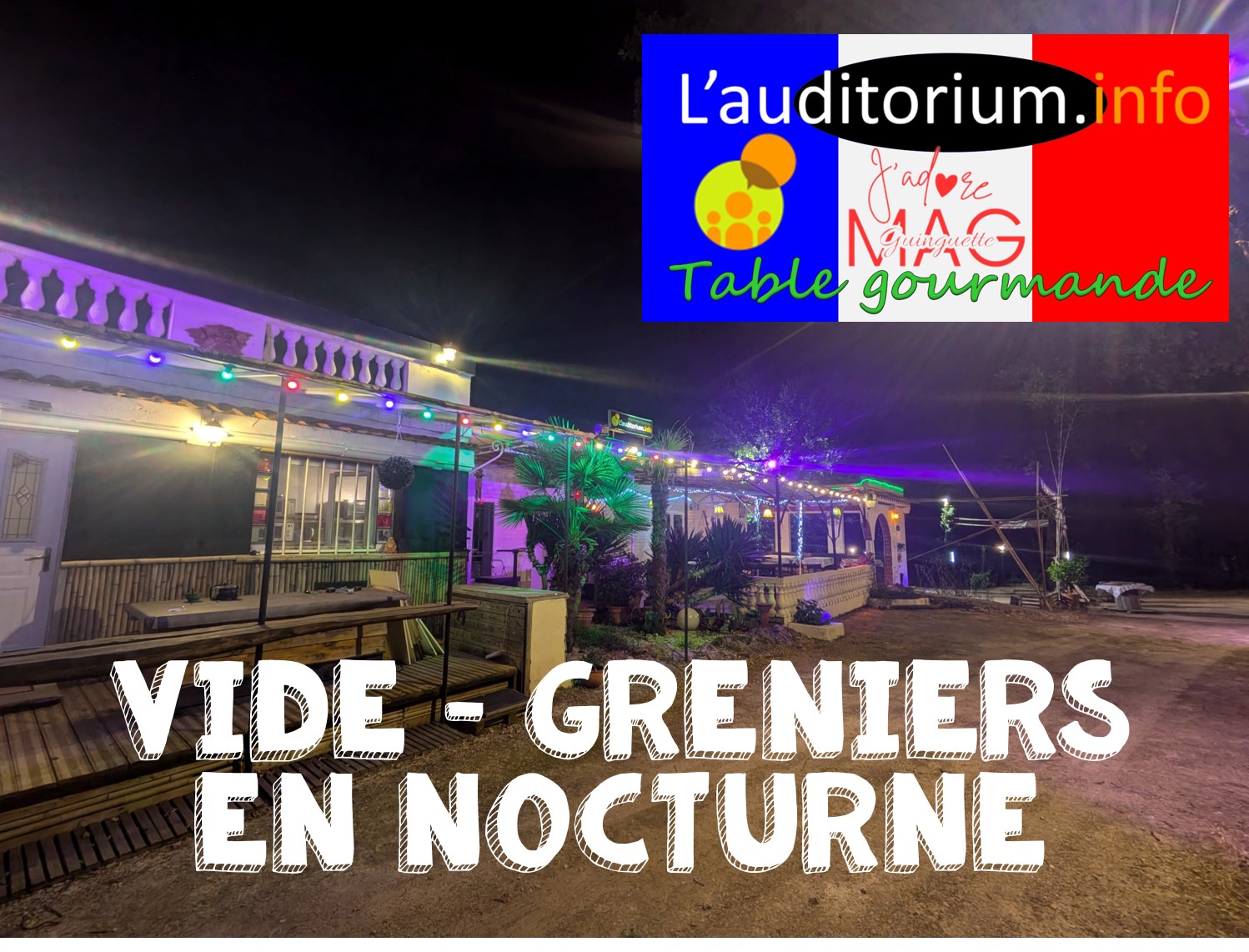 Vide Greniers Nord Toulouse la Magdelaine sur Tarn Villemur Bessières Gratentour Montberon Montastruc Paulhac Bouloc
