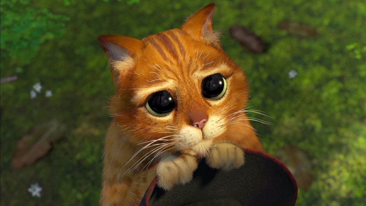 Fontaine à Eau Pour Chat Ou Filtre Eau Robinet Leau Lavie