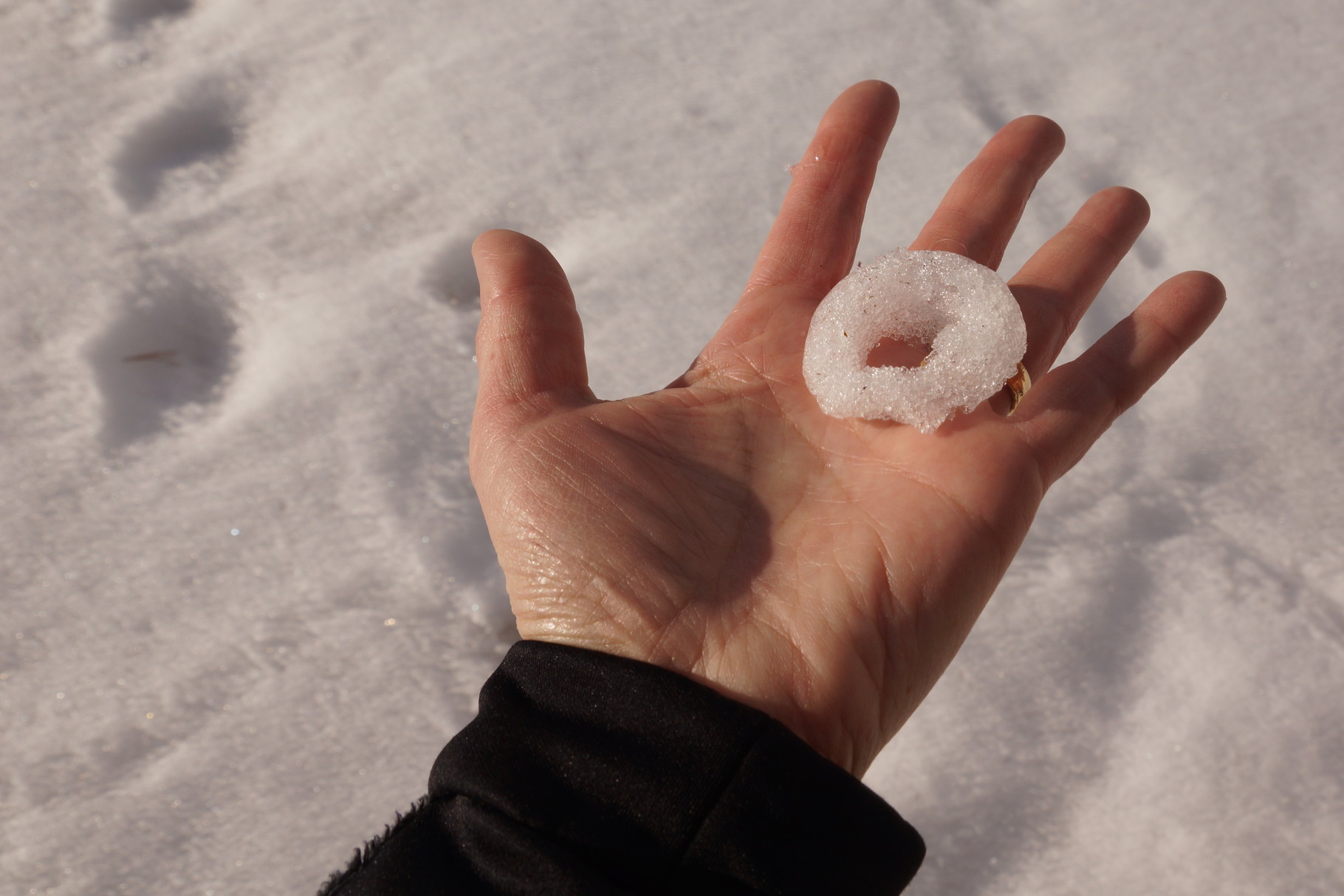 Einen Ring aus Eis, habe gefunden. 