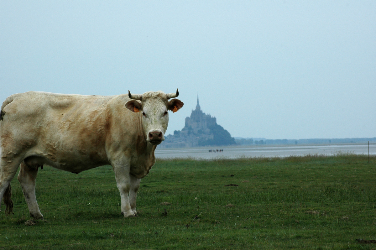 Le Mont Saint Michel; France