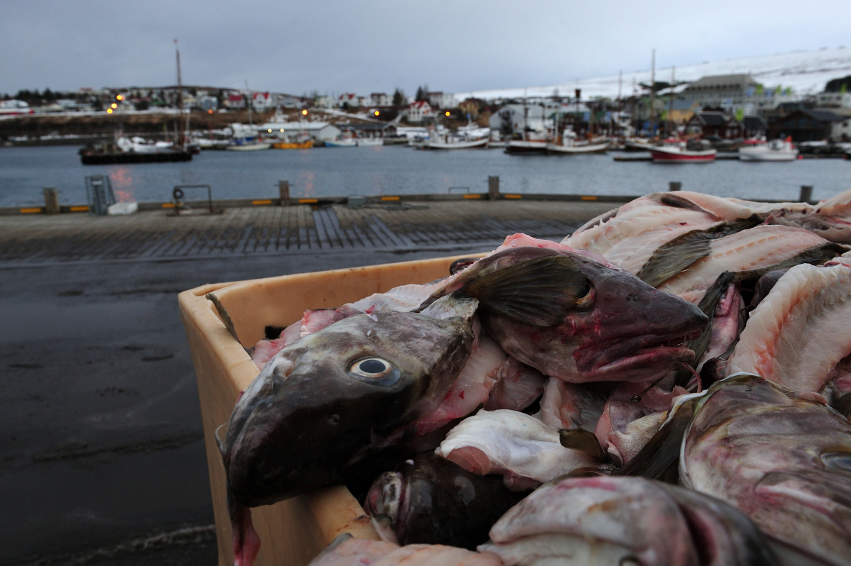 Husavik, Iceland