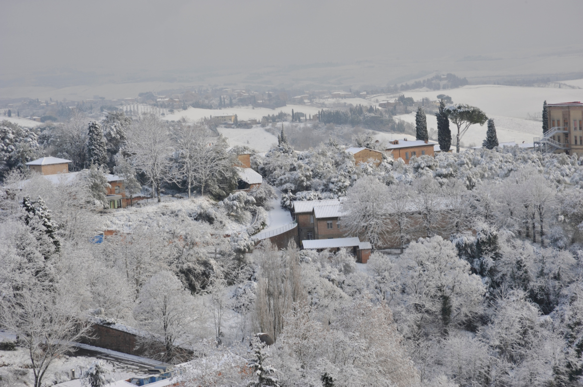 2009, December