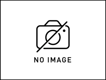 リシェント玄関ドア：工事前