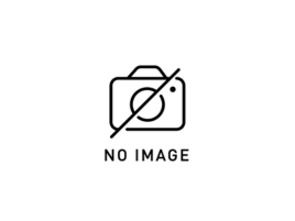 境界フェンスの拡張：工事中写真