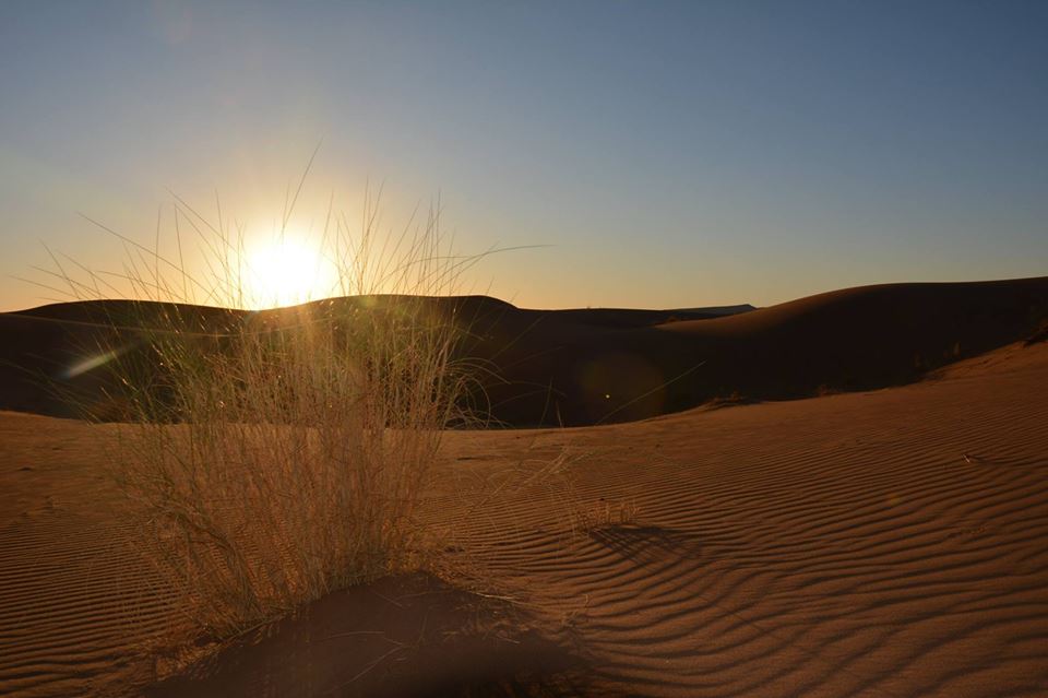 Tramonto bellissimo nel deserto