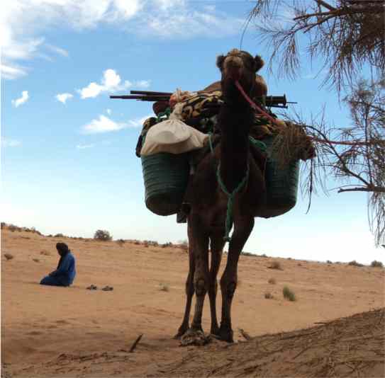 Beduino pregando nel deserto - rispettando i ritmi dei beduini