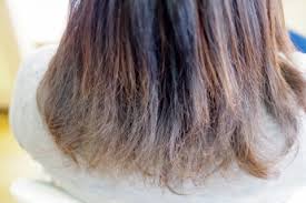 なぜヘアカラーを繰り返すと 髪がギシギシするのかご存じですか 髪を傷めない 頭皮に優しい白髪染め 長岡市 美容室 Hair Beautyshop 美庵 なぜヘアカラーを繰り返すと 髪がギシギシするのかご存じですか 髪を傷めない 頭皮に優しい白髪染め 長岡市 美容室 Hair Beautyshop 美庵