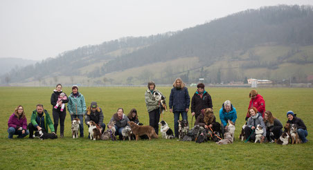 Miniature American Shepherd Treffen Schweiz