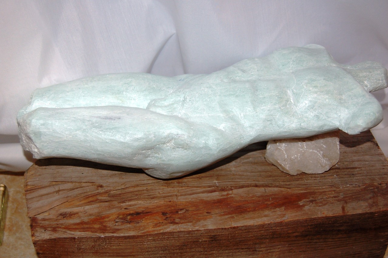 Torso
