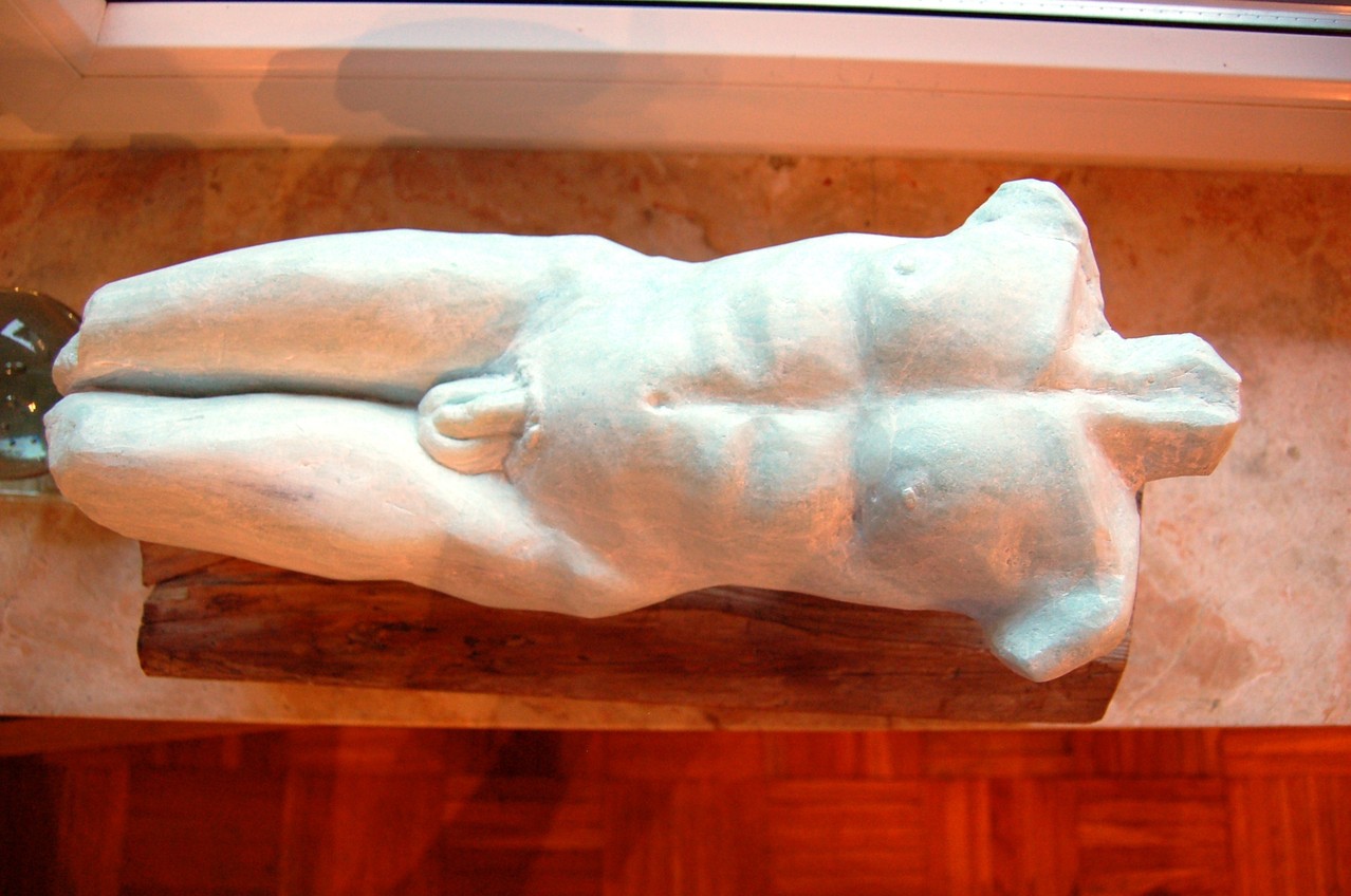 Torso