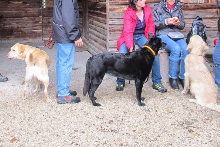 Tommy, Juli und Buddy