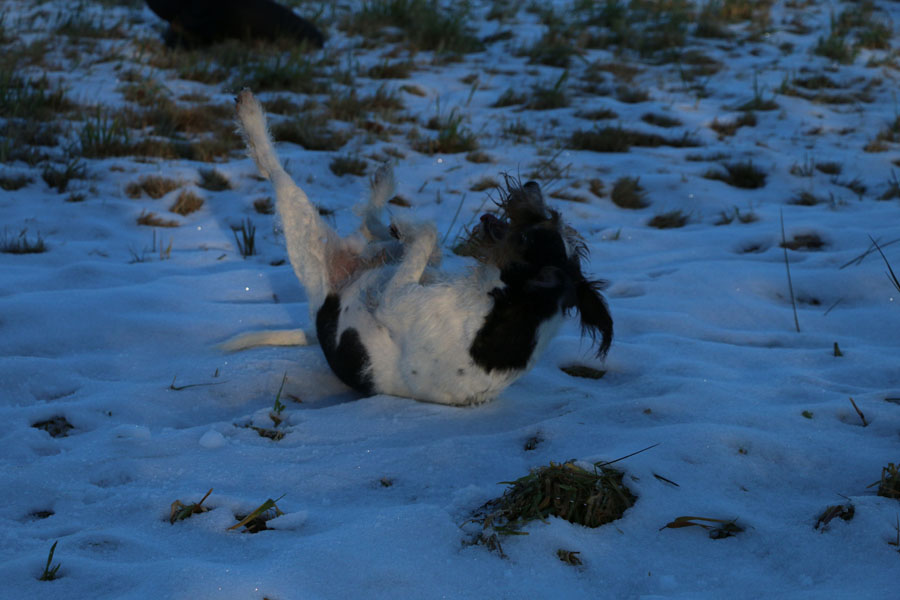 Und es gibt noch ein bisschen Schnee zum Kugeln