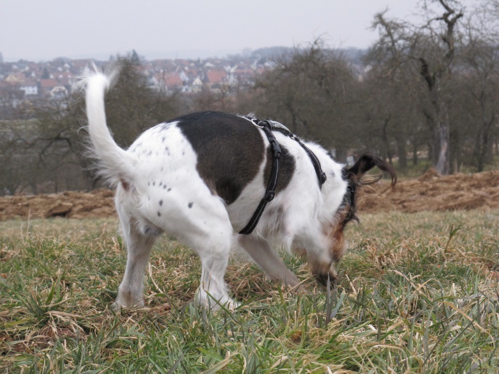 Und dann brauch ich noch ne Maus...