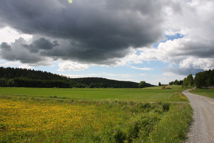 Unsere einzige graue Wolke...