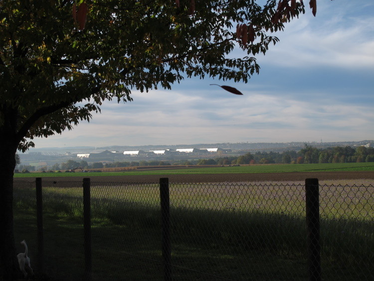 Blick auf die neue Messe