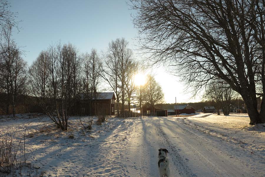 Am nächsten Tag mit Sonnenschein auf die Runde...