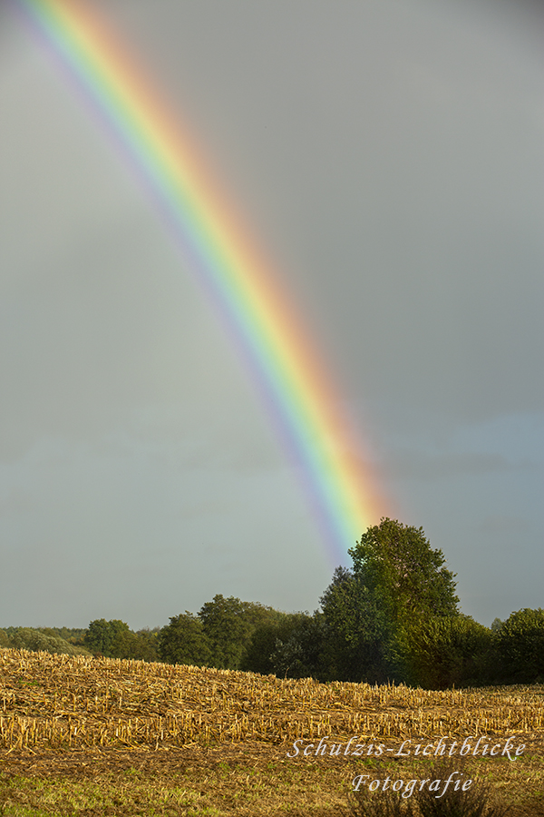 Am Fuße des Regenbogens