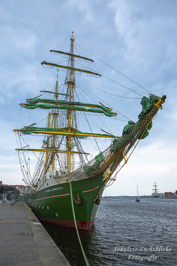 Alexander von Humboldt II