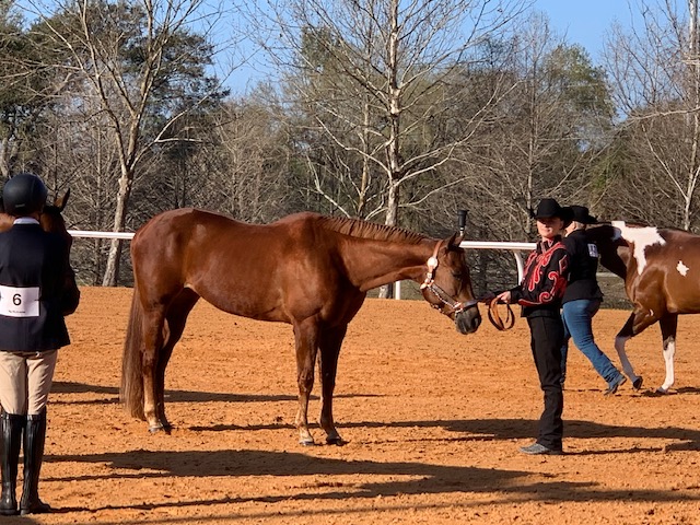 Dirty Jeans Horse Show 2022