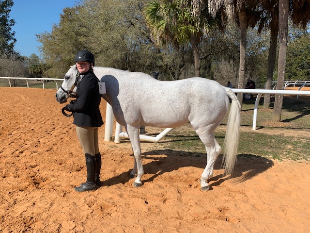 Dirty Jeans Horse Show 2022