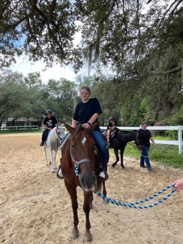 Guided birthday pony rides