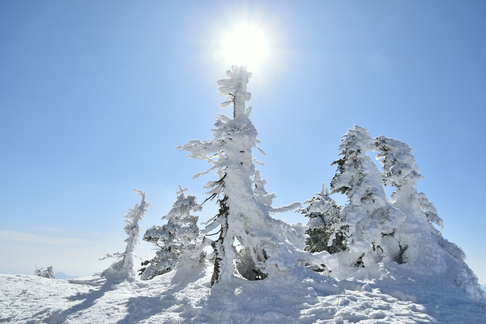 志賀高原、横手山山頂の樹氷