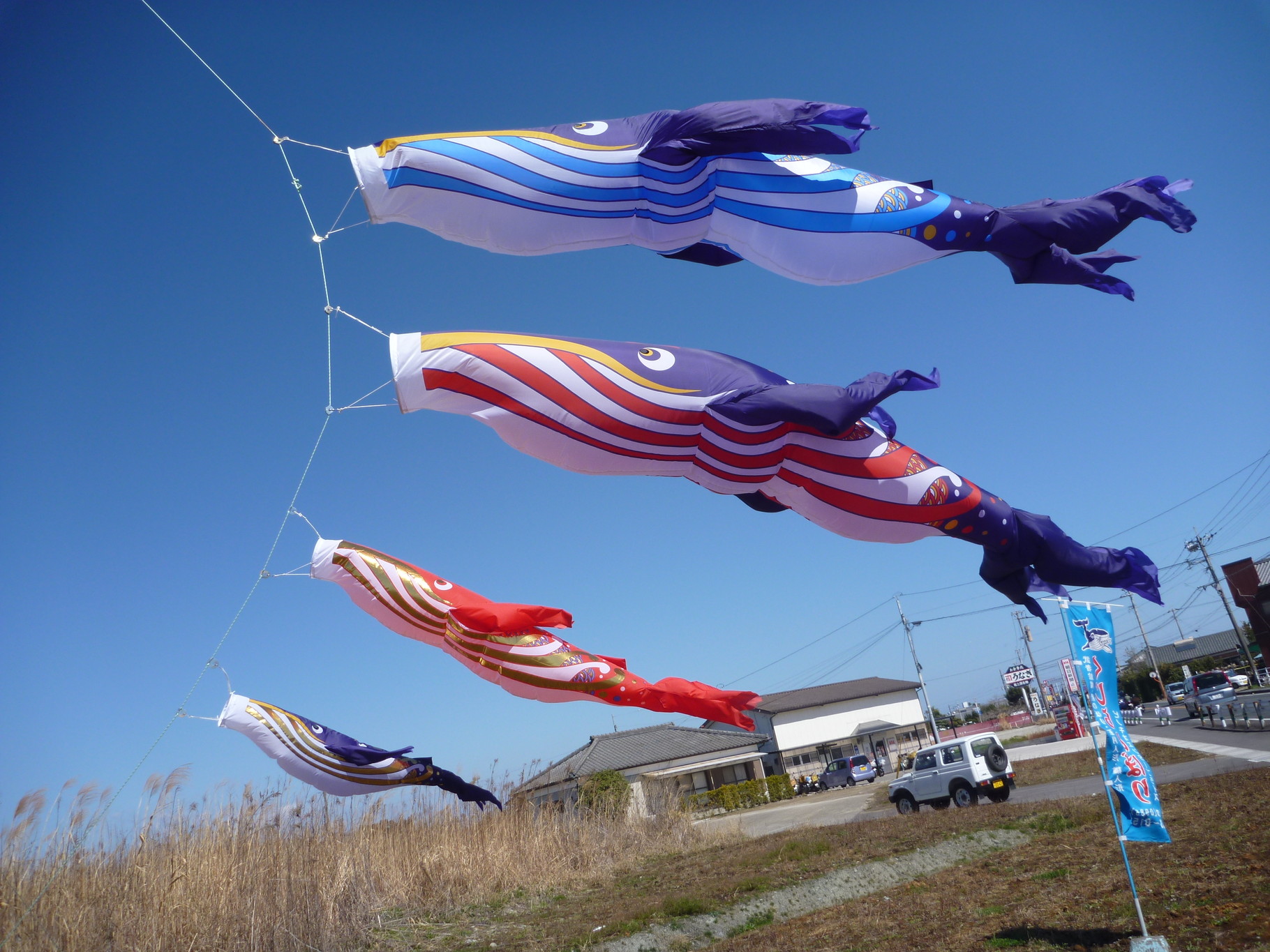 くじらのぼりのピノキオエンタープライズです。 - くじらのぼりの