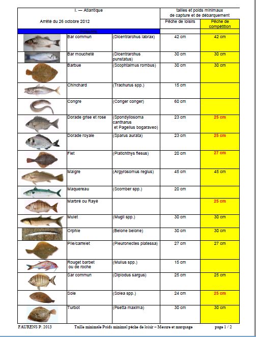 peche en mer reglementation, OFF 75