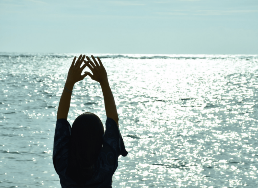 wayn zen 沖縄瞑想