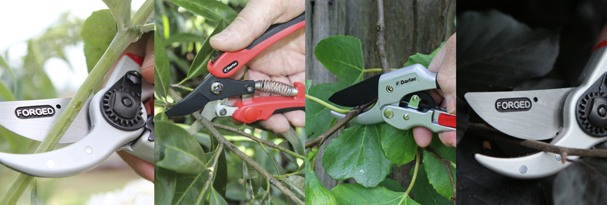 Darlac Secateurs Eastwood Garden Plant Centre