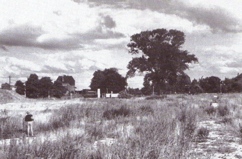 Blick auf den Oslebshauser Bahnhof von Buckmann aus, 1959