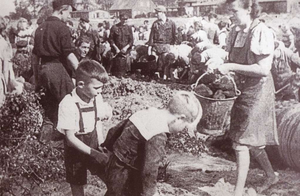 Kohlesuche im Spülfeld, 1947