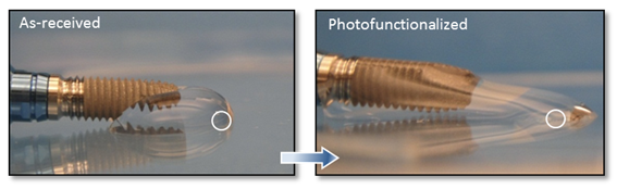 Imagine if osteogenic cells you want are located in the white circles. The consequence of osseointegration would be different between the as-received and photofunctionalized implants.