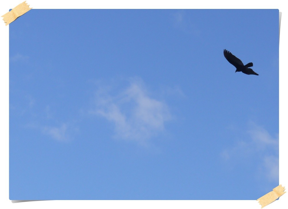 Die Wächter der Schlucht