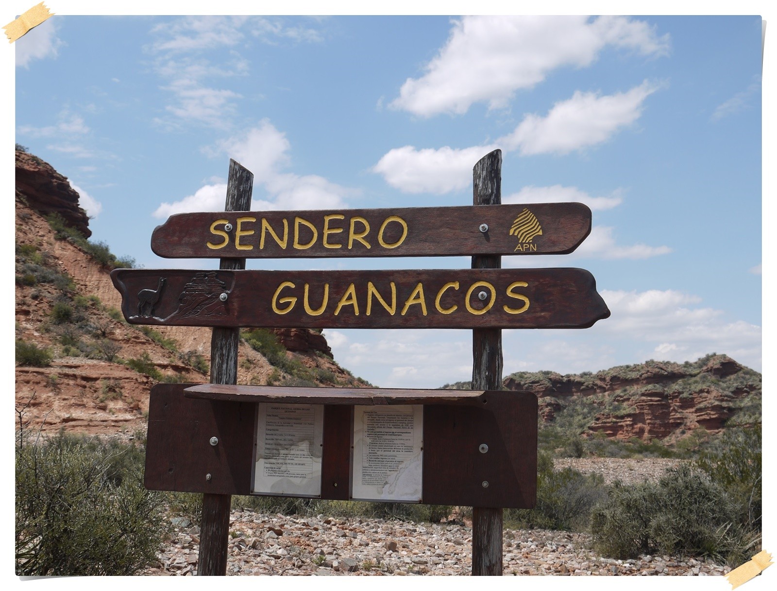 Wir gingen den Weg der Guanacos...