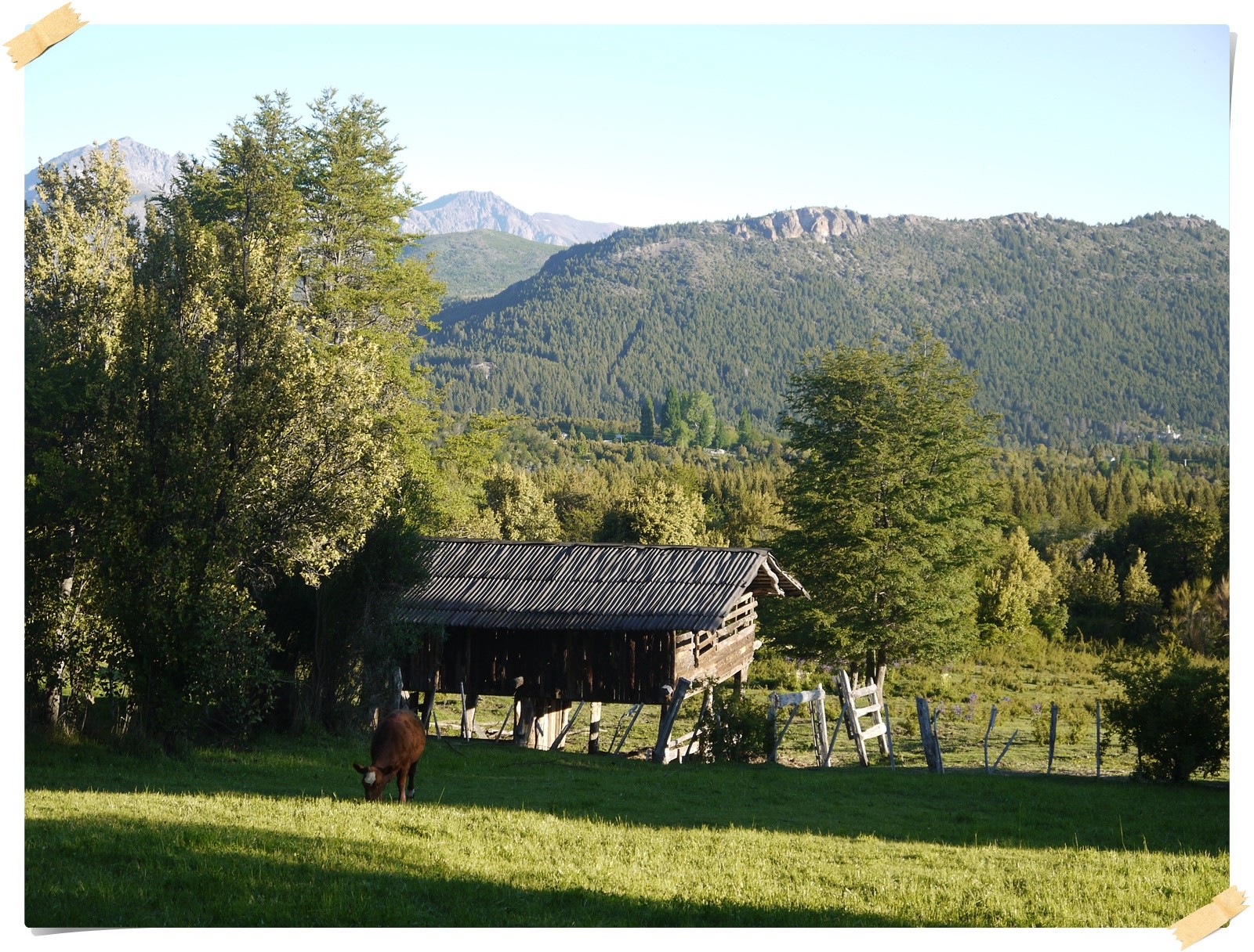 und werden nach Hause eingeladen