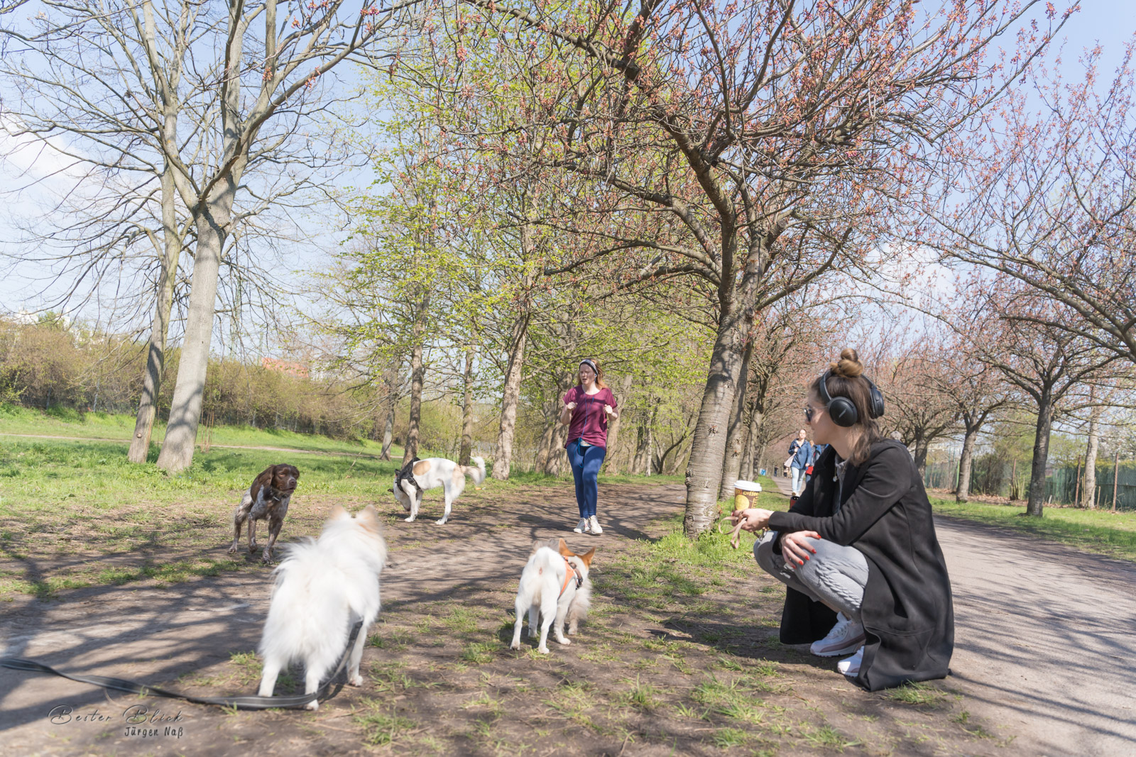 Frühling in Berlin