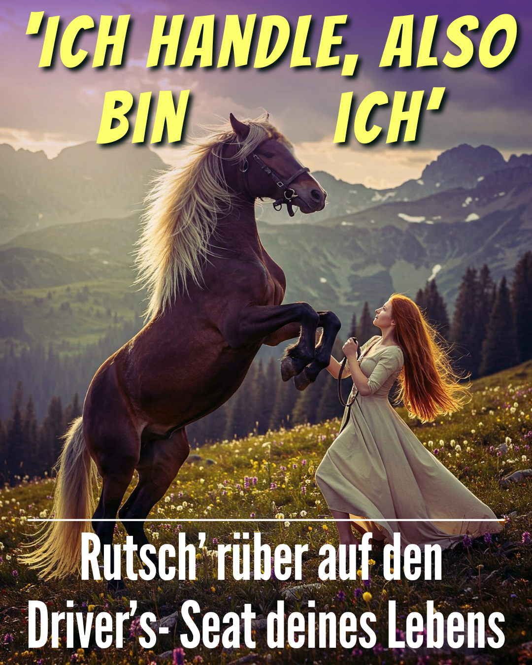 Ich handle...