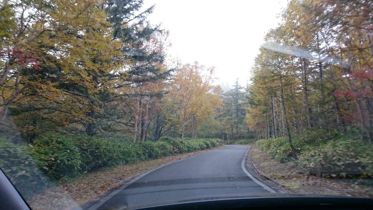 紅葉登山 北八ヶ岳 双子山 Prezeel 成増の隠れ美容室 紅葉登山 北八ヶ岳 双子山 Prezeel 成増の隠れ美容室